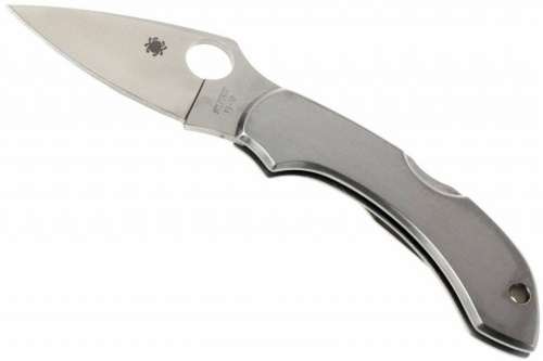 Складной нож Spyderco Dragonfly 2 - 28P фото 18